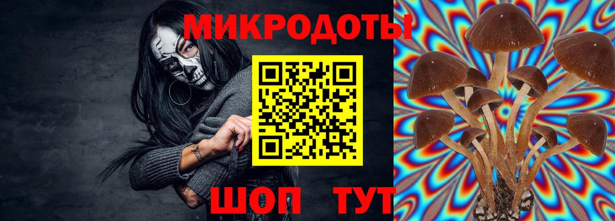 Псилоцибиновые грибы Psilocybe  Галлюциногенные грибы мухоморы  Вход с VPN  Верхняя Салда 
